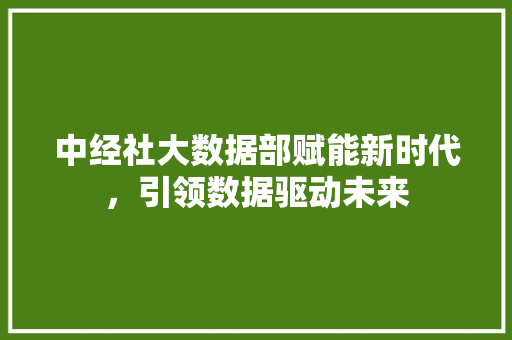 中经社大数据部赋能新时代，引领数据驱动未来