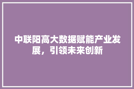 中联阳高大数据赋能产业发展，引领未来创新