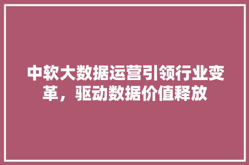 中软大数据运营引领行业变革，驱动数据价值释放
