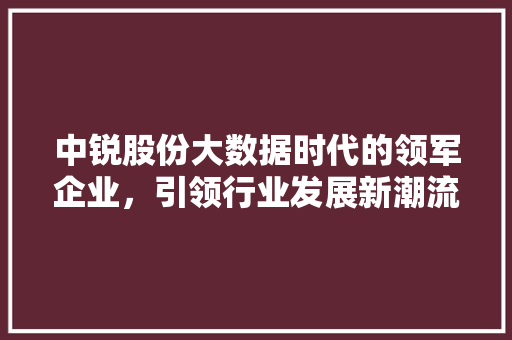 中锐股份大数据时代的领军企业，引领行业发展新潮流