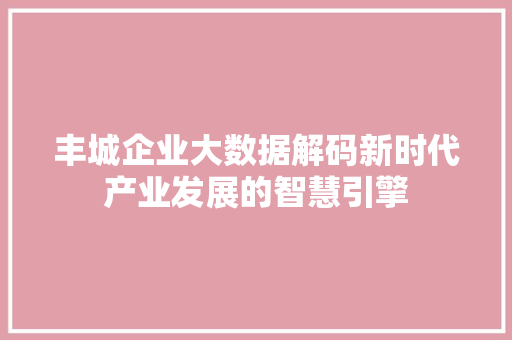 丰城企业大数据解码新时代产业发展的智慧引擎
