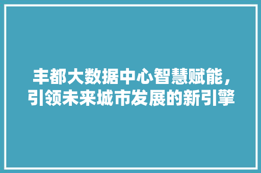 丰都大数据中心智慧赋能，引领未来城市发展的新引擎