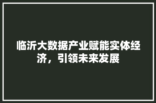 临沂大数据产业赋能实体经济，引领未来发展