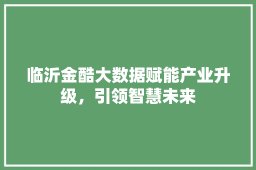 临沂金酷大数据赋能产业升级，引领智慧未来
