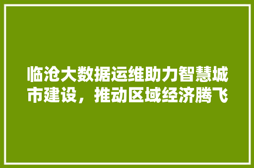 临沧大数据运维助力智慧城市建设，推动区域经济腾飞