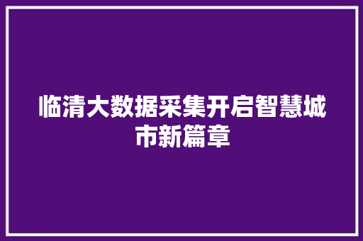 临清大数据采集开启智慧城市新篇章