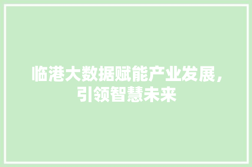 临港大数据赋能产业发展，引领智慧未来