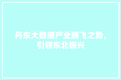 丹东大数据产业腾飞之势，引领东北振兴