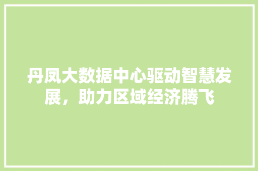 丹凤大数据中心驱动智慧发展，助力区域经济腾飞
