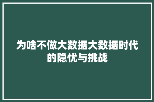 为啥不做大数据大数据时代的隐忧与挑战