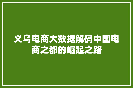义乌电商大数据解码中国电商之都的崛起之路 WordPress教程