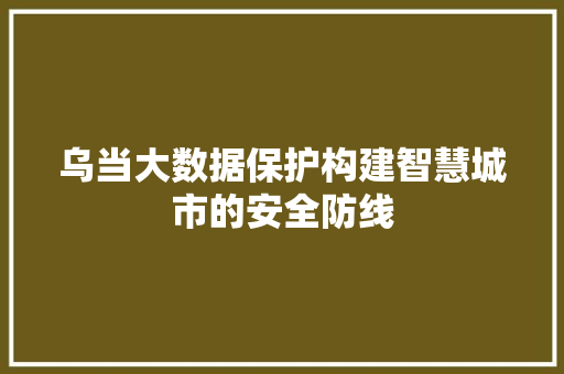 乌当大数据保护构建智慧城市的安全防线