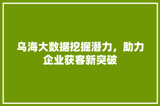 乌海大数据挖掘潜力，助力企业获客新突破