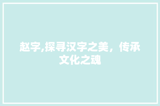 赵字,探寻汉字之美，传承文化之魂
