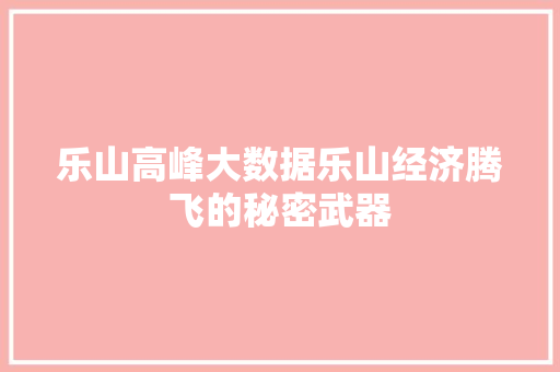 乐山高峰大数据乐山经济腾飞的秘密武器