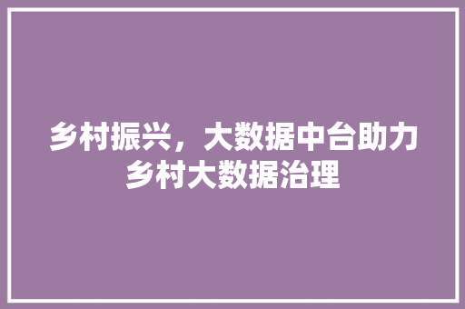 乡村振兴，大数据中台助力乡村大数据治理 Web前端