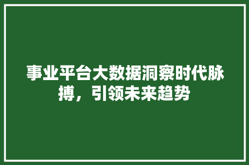事业平台大数据洞察时代脉搏，引领未来趋势