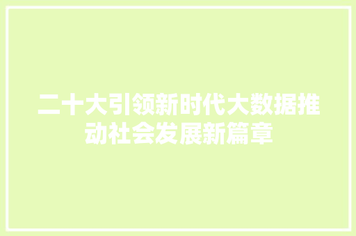 二十大引领新时代大数据推动社会发展新篇章