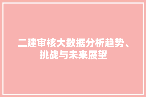 二建审核大数据分析趋势、挑战与未来展望