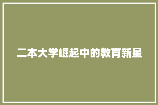 二本大学崛起中的教育新星