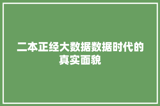 二本正经大数据数据时代的真实面貌