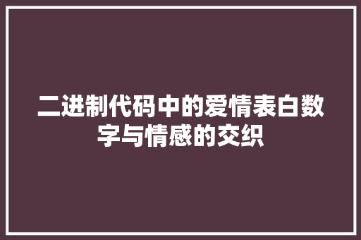 二进制代码中的爱情表白数字与情感的交织