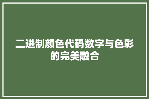 二进制颜色代码数字与色彩的完美融合