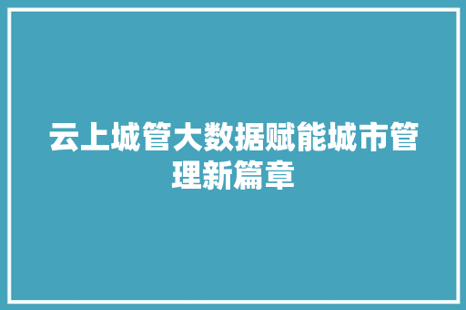 云上城管大数据赋能城市管理新篇章 服务器/数据库