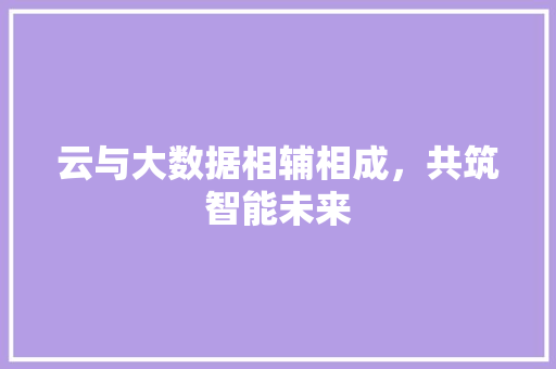 云与大数据相辅相成，共筑智能未来