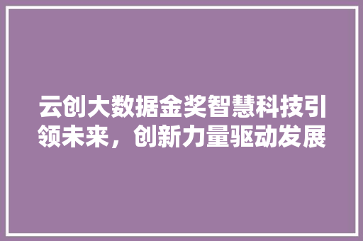云创大数据金奖智慧科技引领未来，创新力量驱动发展