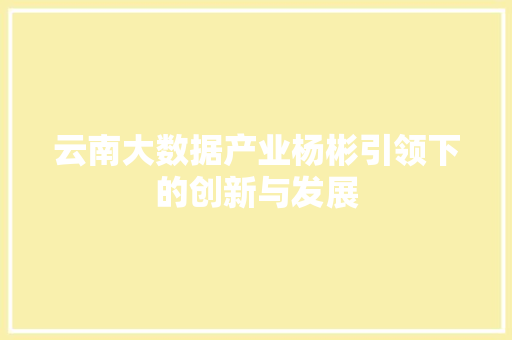 云南大数据产业杨彬引领下的创新与发展