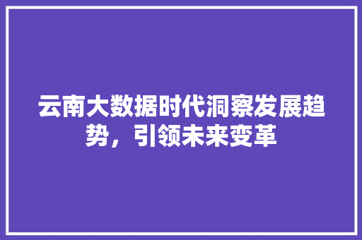 云南大数据时代洞察发展趋势，引领未来变革
