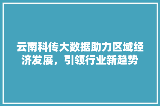 云南科传大数据助力区域经济发展，引领行业新趋势