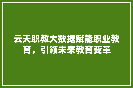 云天职教大数据赋能职业教育，引领未来教育变革 WordPress教程