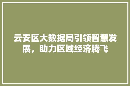 云安区大数据局引领智慧发展，助力区域经济腾飞 服务器/数据库