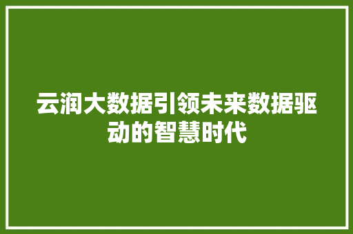 云润大数据引领未来数据驱动的智慧时代 Web前端