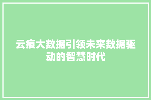云痕大数据引领未来数据驱动的智慧时代