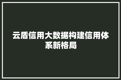 云盾信用大数据构建信用体系新格局