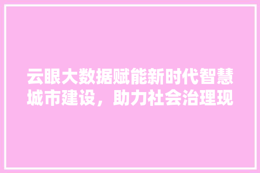 云眼大数据赋能新时代智慧城市建设，助力社会治理现代化