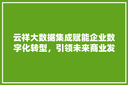 云祥大数据集成赋能企业数字化转型，引领未来商业发展