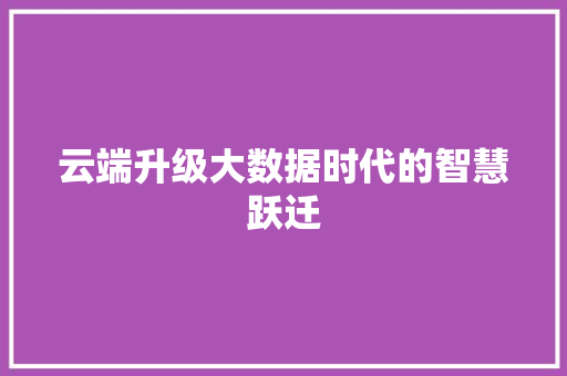 云端升级大数据时代的智慧跃迁