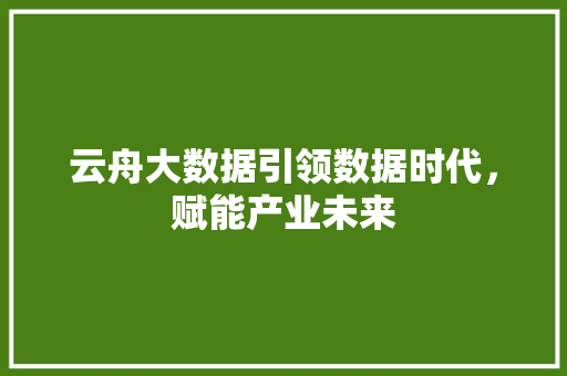 云舟大数据引领数据时代，赋能产业未来 建站教程