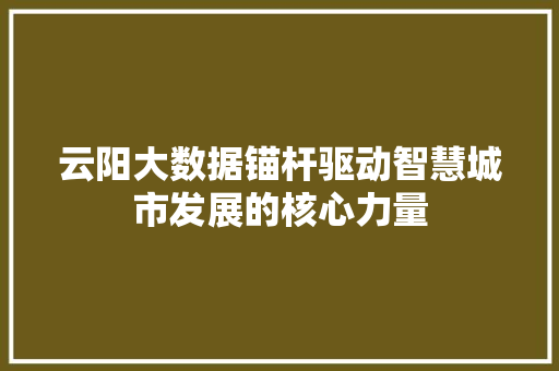 云阳大数据锚杆驱动智慧城市发展的核心力量