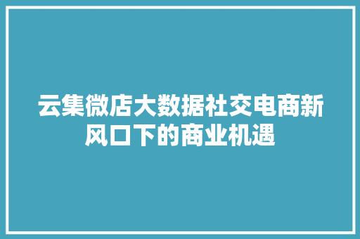 云集微店大数据社交电商新风口下的商业机遇
