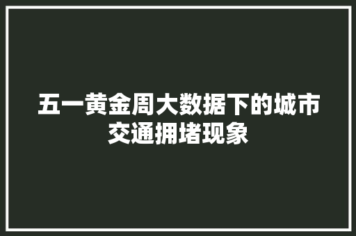 五一黄金周大数据下的城市交通拥堵现象