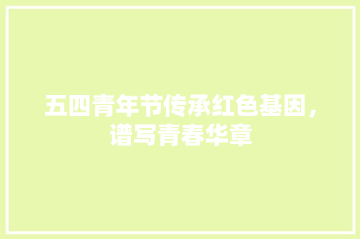 五四青年节传承红色基因，谱写青春华章