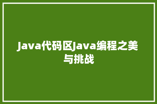 Java代码区Java编程之美与挑战