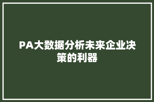 PA大数据分析未来企业决策的利器 Web前端