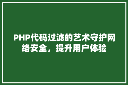 PHP代码过滤的艺术守护网络安全，提升用户体验