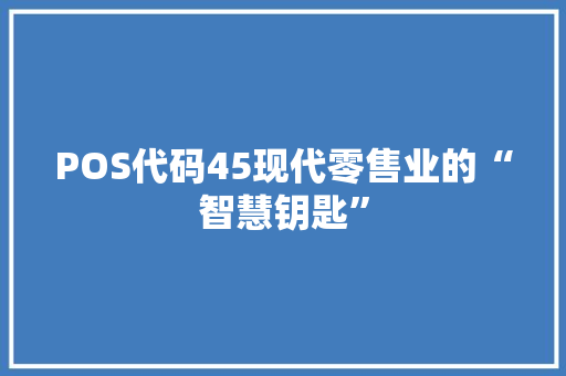 POS代码45现代零售业的“智慧钥匙”